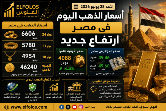 صورة الفلوس - الفلوس إيلوفولوس