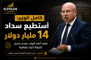 كامل الوزير: لدي قروض بـ14 مليار دولار وأتعهد بسدادها بالكامل