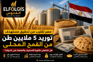 مصر تقترب من تحقيق مستهدف توريد القمح المحلي.. هل تنخفض فاتورة الاستيراد والضغط على الدولار؟