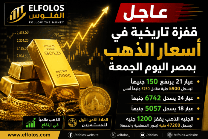صورة: d41ad825 cdfe 4581 bdf8 66d2070c1514 - الفلوس ELFOLOS